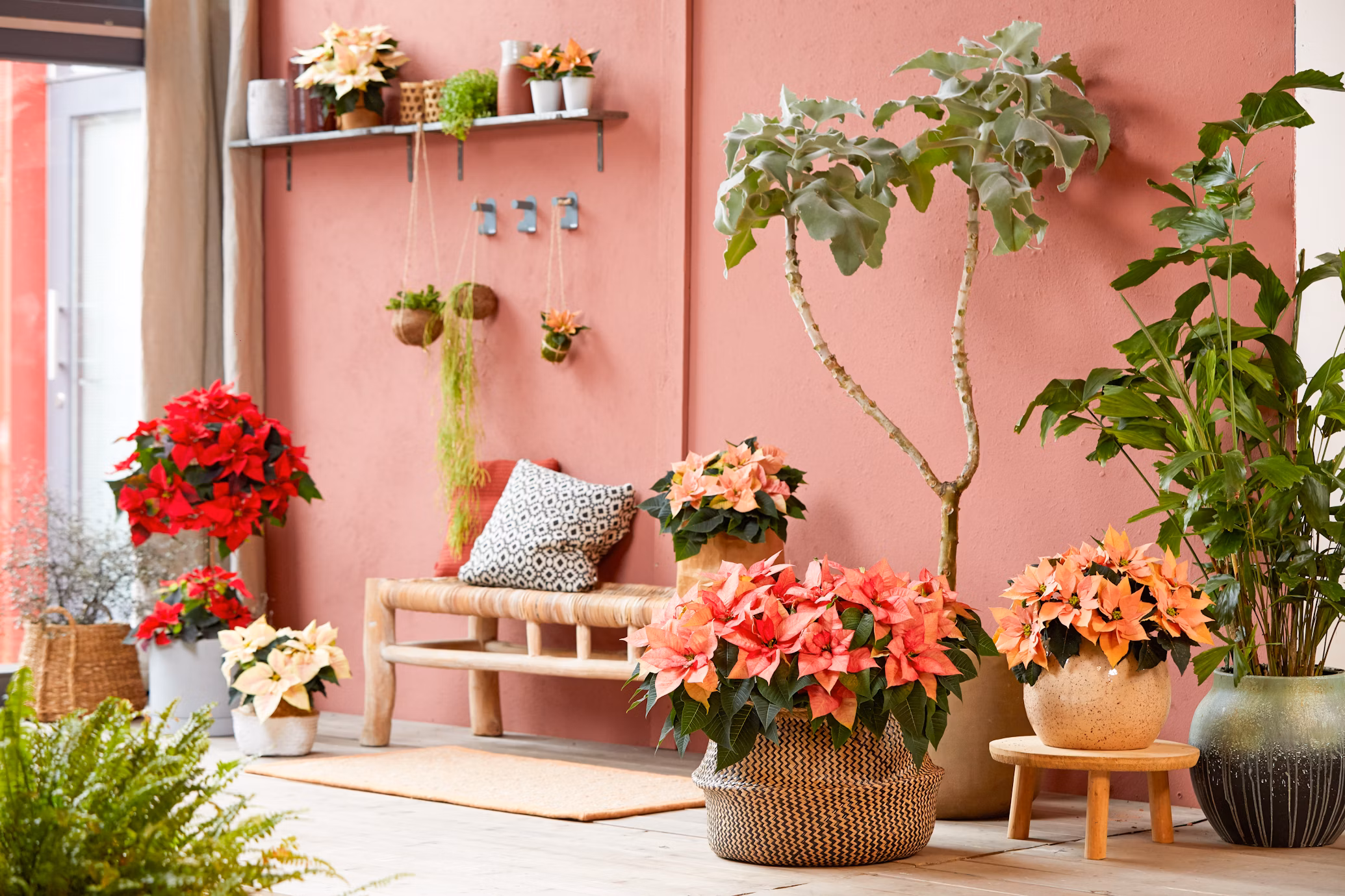 Flower Wall Rentals